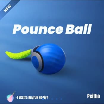 Şarjlı Kedi Oyuncağı 1 Ayda Bozuldu Değişim Ve Garanti Yapılmadı