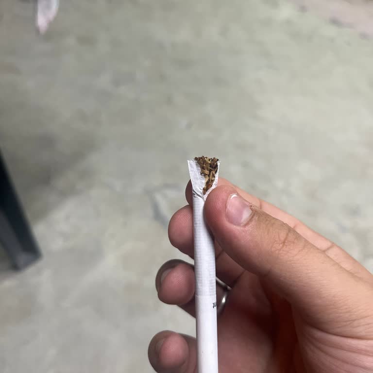 Parliament Sigaradan Odun Parçası Çıkması Ve Kalite Düşüşü