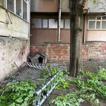 Teleskopik Merdiven Kırıldı, Ciddi Kazaya Yol Açtı Güvenlik Riski Yaşadık