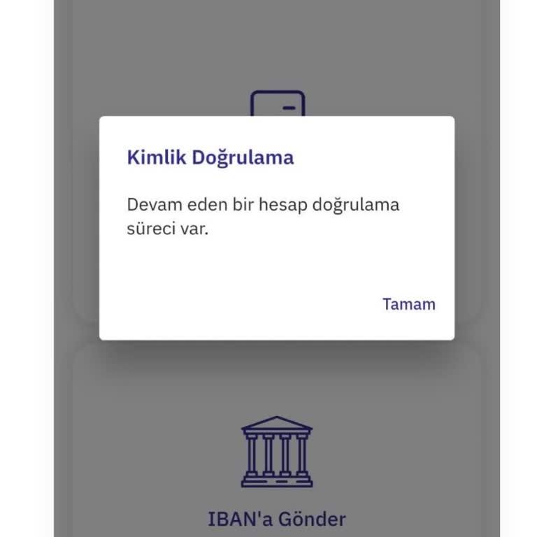 Hesap Açıldıktan Sonra Para Kullanılamıyor Doğrulama Yapıldığı Halde Erişim Yok