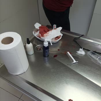 Köpeğimin Sağlığı Ve Güvenliği İhmal Edildi