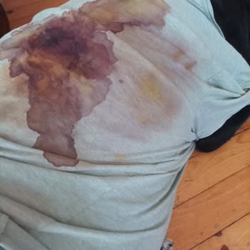 Köpeğimin Sağlığı Ve Güvenliği İhmal Edildi