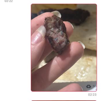 Küflü Ve Pişmemiş Köfte Skandalı: Sağlığımız Tehlikede!