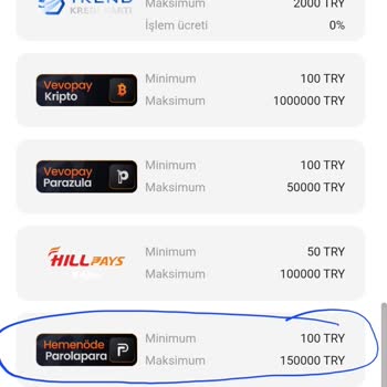 Yatırım İşlemim Hesabıma Yansıtılmadı, Canlı Destek Çelişkili Bilgi Veriyor