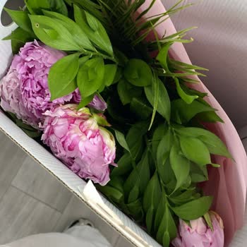 Siparişim Geç Teslim Edildi Ve Ürün Beklentimi Karşılamadı