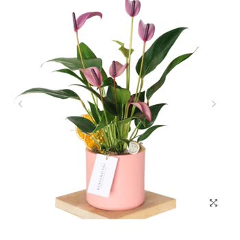 Sipariş Edilen Ve Teslim Edilen Çiçekler Farklı, Firma Sorumluluk Almıyor