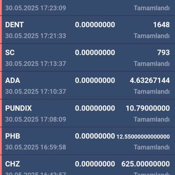 Hesabımdaki Coinler İzinsiz Çekildi, Güvenim Sarsıldı