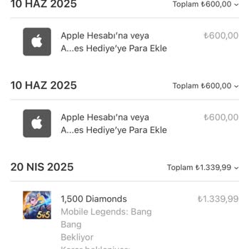 Oyun İçi Elmas Alımında Yaşanan Sorun Ve Destek Eksikliği