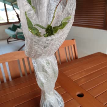 Tanıtılan Ürünle Alakasız, Kusurlu Fidan Teslimatı