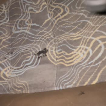 Uludağ Turizm İle Kötü Yolculuk Ve Yetersiz İkram Deneyimi