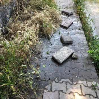 Ankara Büyükşehir Belediyesi Hijyen Sorunları