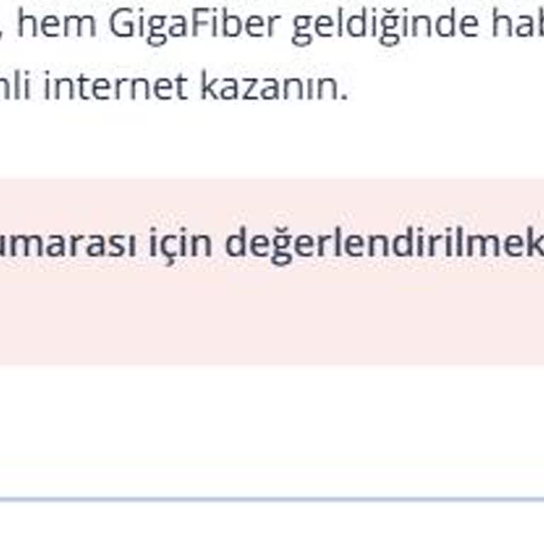 1000 Mbps Sözü Verildi, 100 Mbps İle Kaldık: Hizmet Ve İletişim Sorunu