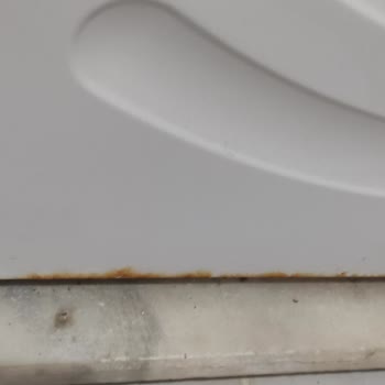 Bosch Çamaşır Makinem Hayal Kırıklığına Uğrattı, Birebir Değişim Talep Ediyorum