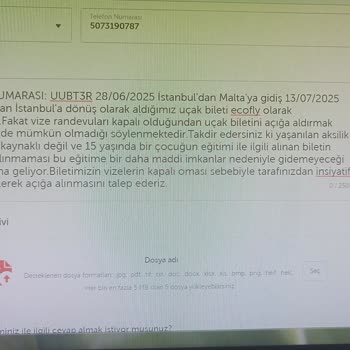 THY blockierter Flugticket für den Auslands-Sprachkurs meines Sohnes