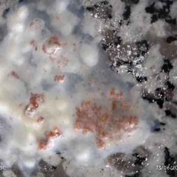 Aptamil 3 Mama Bebeğimde Şiddetli Gaz Ve Karın Ağrısına Sebep Oldu