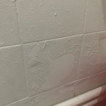 Fayans Boyası Hayal Kırıklığı: 45 Günde Kötü Sonuç