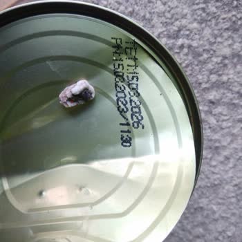 Konserve İçinden Taş Çıkması Nedeniyle Sağlık Ve Güvenlik Endişesi