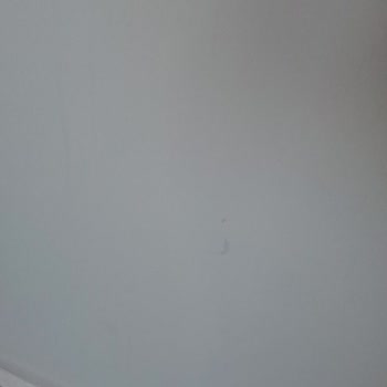 Filli Boya Favori Serisiyle Boyanan Evde Kalıcı Leke Sorunu Ve Çözüm Beklentisi