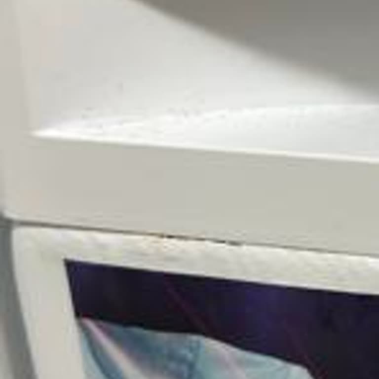 Garanti Süresi İçinde Küflenen Çamaşır Makinesine Servis Mağduriyeti