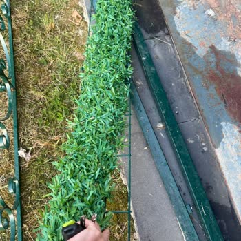 HFM Tel Örgü Tarafından Mağdur Edildim!