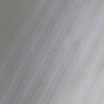 ETS Tur Ve Q Adventure Park'ta Hayal Kırıklığı: Hizmet Ve Temizlik Sorunları