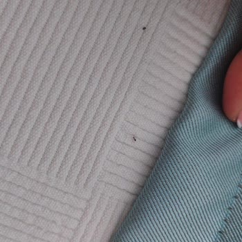 ETS Tur Ve Q Adventure Park'ta Hayal Kırıklığı: Hizmet Ve Temizlik Sorunları