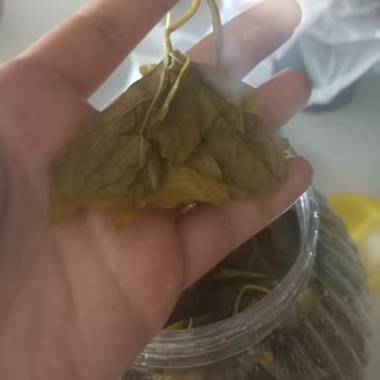 @egeden_tazelik Gönderilen Yapraklar Çok Kötü!