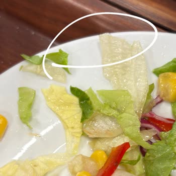 Güven Lokantası | Bursa'da Hijyen Sorunları!