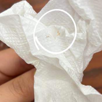 Güven Lokantası | Bursa'da Hijyen Sorunları!