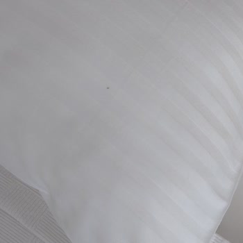 ETS Tur Ve Q Aventura Park'ta Hayal Kırıklığı: Hijyen, Hizmet Ve İletişim Sorunları