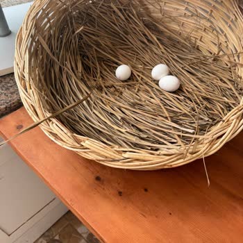 Club Çapa Otel'de Kötü Hizmet, Hijyen Sorunları Ve İade Problemi