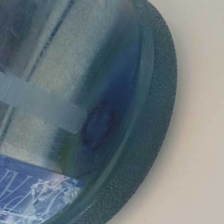 Fuska Damacana Sularında Yosun Sorunu Ve İlgisizlik