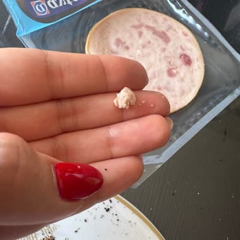 Hindi Füme Ürününde Yabancı Madde Şikayeti