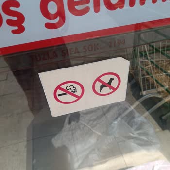 Öğle Saatinde Şok Marketin Kapalı Olmasının Nedeni Hakkında Bilgi Talebi