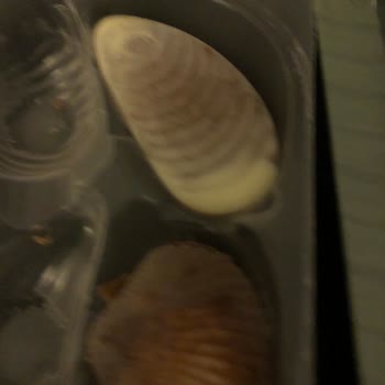 Duty Free'den Alınan Ürünlerde Tekrarlayan Bozukluk Sorunu