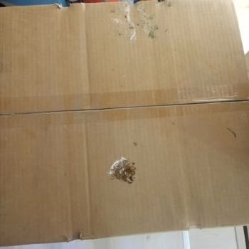 Siemens Ev Aletleri Yeni Alınan Su Sebilinin Hasarlı Teslim Edilmesi Ve Değişim Sürecindeki Sorunlar