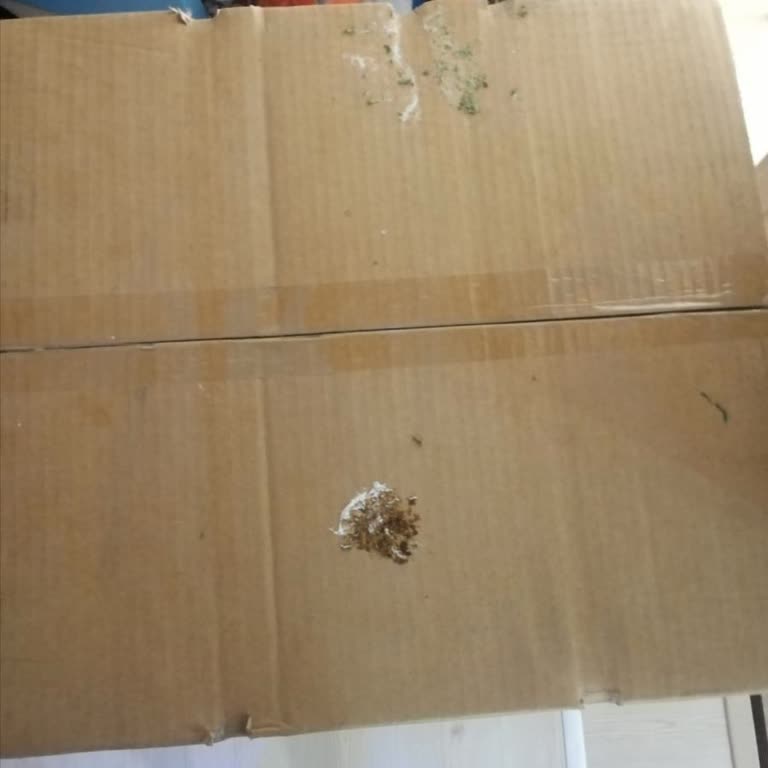 Siemens Ev Aletleri Yeni Alınan Su Sebilinin Hasarlı Teslim Edilmesi Ve Değişim Sürecindeki Sorunlar