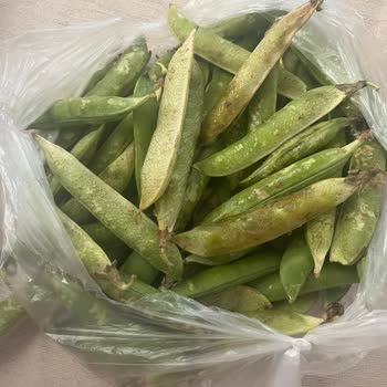 Migros Hemen'den Gönderilen Çürük Bezelyeler Hayal Kırıklığı Yarattı