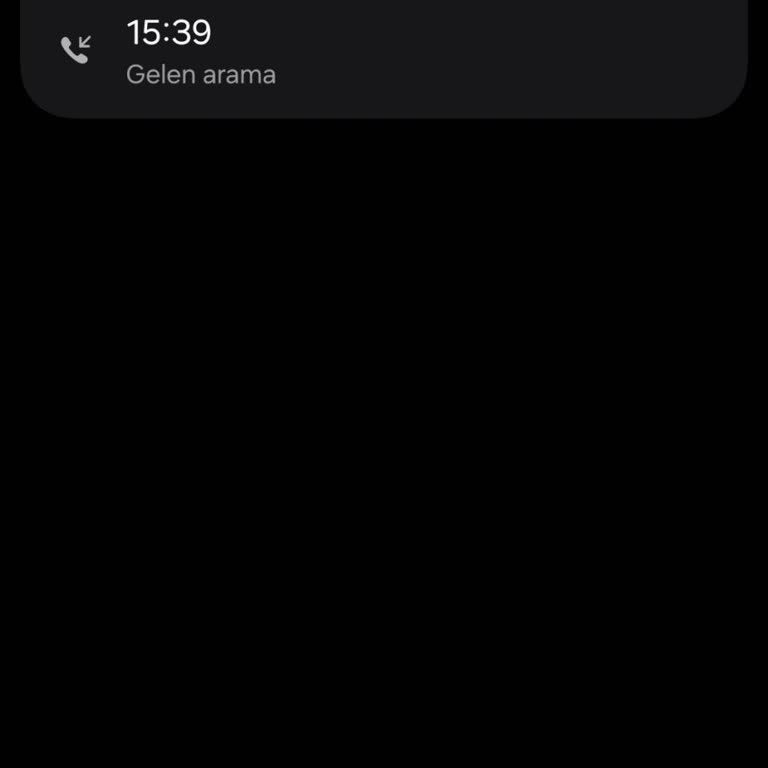 Bilinmeyen Numaradan Sessiz Arama Ve Sesimin Taklit Edilme Endişesi