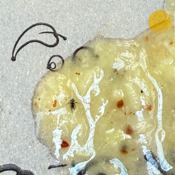 Mercimek Çorbasında Böcek Ve Yetersiz Müşteri İlgisi