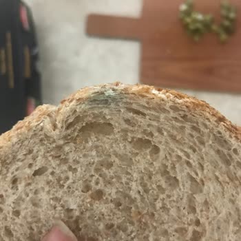 Son Kullanma Tarihi Geçmemiş UNO Çok Tahıllı Ekmekte Küf Sorunu