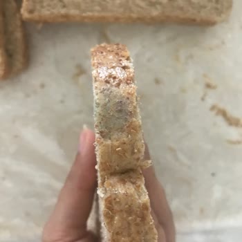 Son Kullanma Tarihi Geçmemiş UNO Çok Tahıllı Ekmekte Küf Sorunu