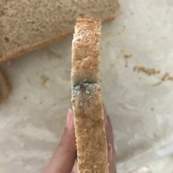 Son Kullanma Tarihi Geçmemiş UNO Çok Tahıllı Ekmekte Küf Sorunu