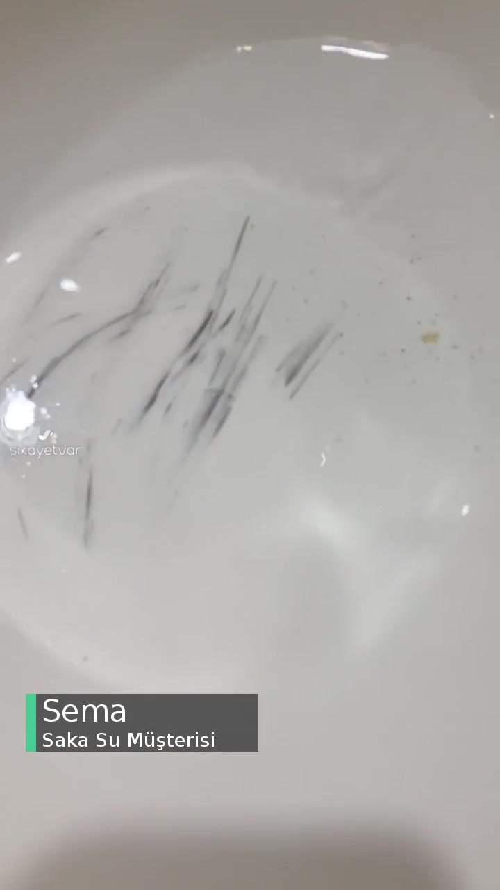 Saka Suyun İçerisindeki Tanecikler Nedir? videonun kapak resmi