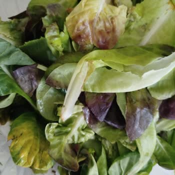 Migros Online Siparişlerinde Bozulmuş Ve Kalitesiz Ürün Sorunu