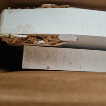 Hasarsız Kolide Ezik Masa Ve Tutanak Zorunluluğu Şaşkınlığı