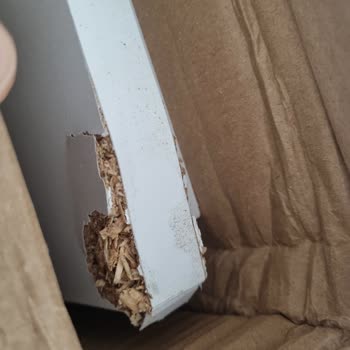 Hasarsız Kolide Ezik Masa Ve Tutanak Zorunluluğu Şaşkınlığı