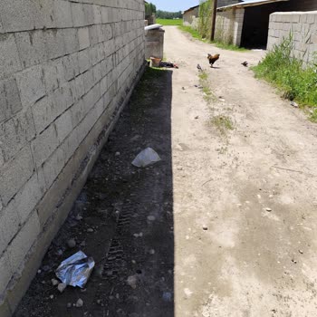 Van Büyükşehir Belediyesi Çöpler Toplanmıyor, Mahallemiz Mağdur