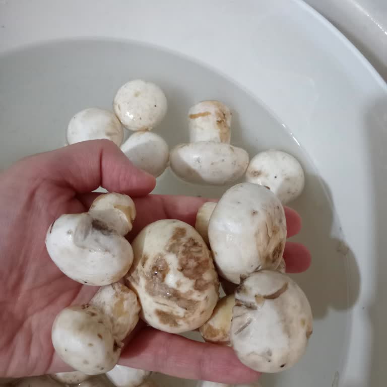 Yunus Market Online Alışverişte Çürük ve Ezilmiş Ürün Mağduriyeti Tekrarlandı