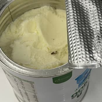 Aldığım Mamada Kelebek Çıktı Çocuğum Aç Kaldı